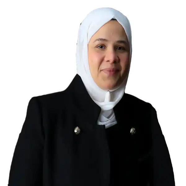 Alaa Osama Ahmed Adly Mohamed Zallat